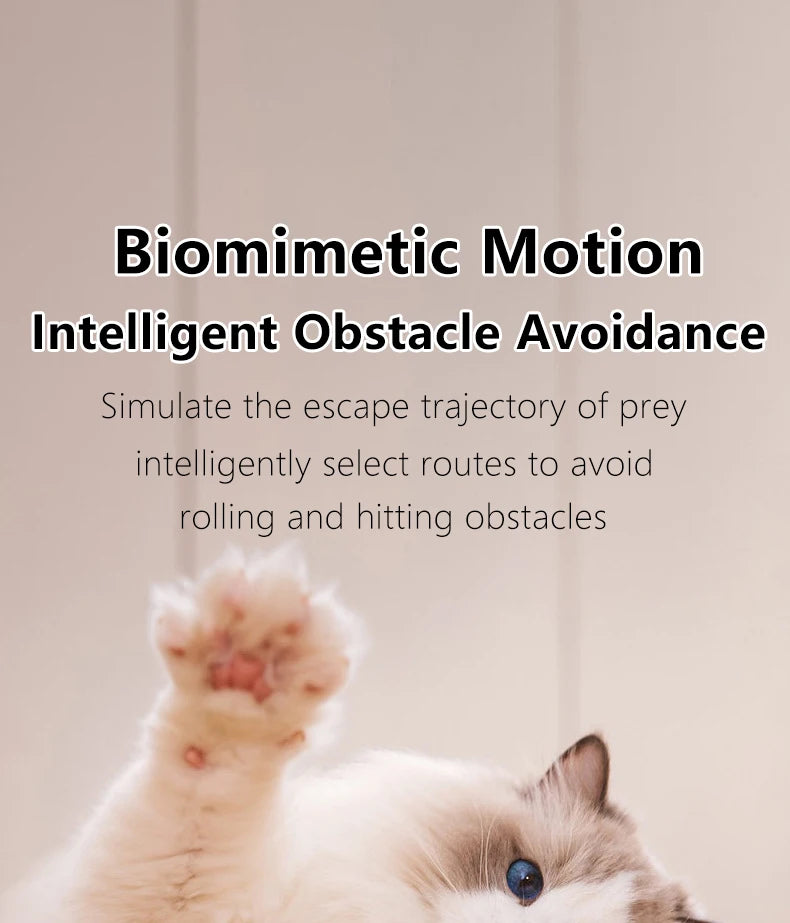 Cat Smart Ball - Interactive Automatic Rolling Toy for Indoor Pets