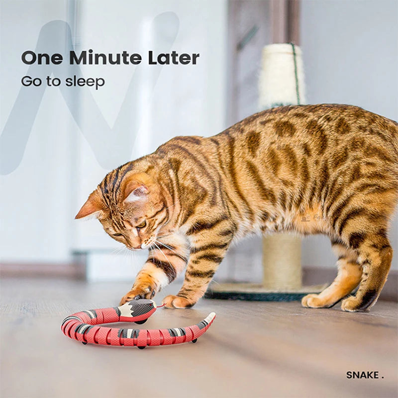 Cat Toys Interactive Smart Sensing Accessories for Pet Cats  Game Play