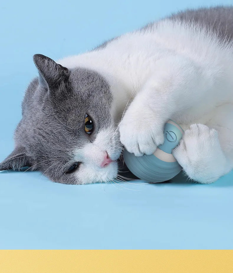 Cat Smart Ball - Interactive Automatic Rolling Toy for Indoor Pets