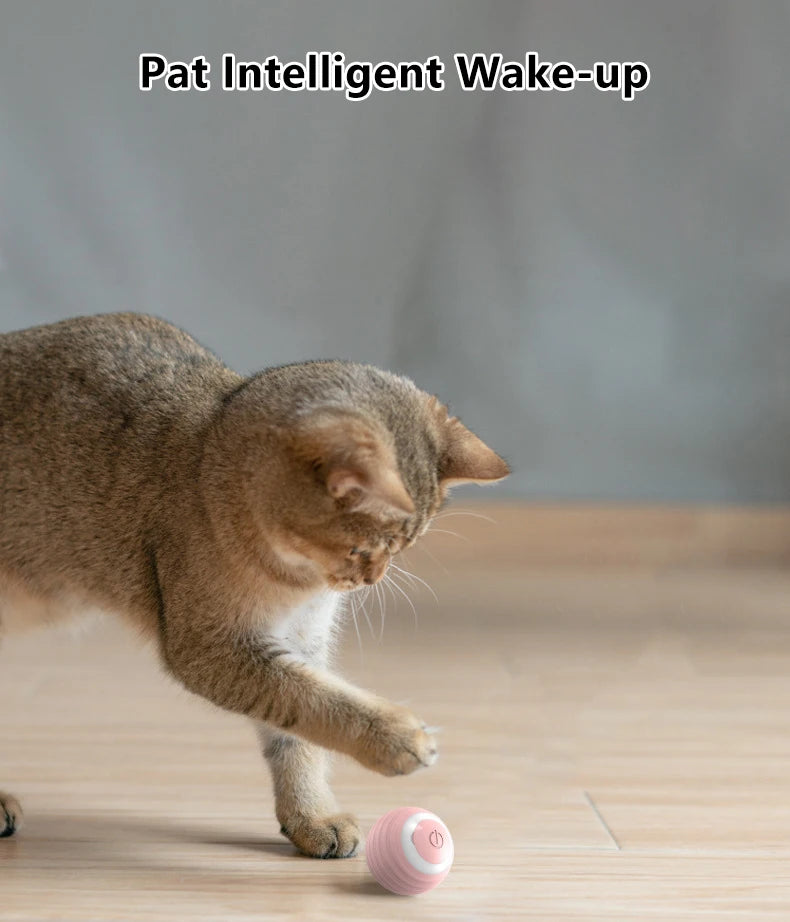 Cat Smart Ball - Interactive Automatic Rolling Toy for Indoor Pets