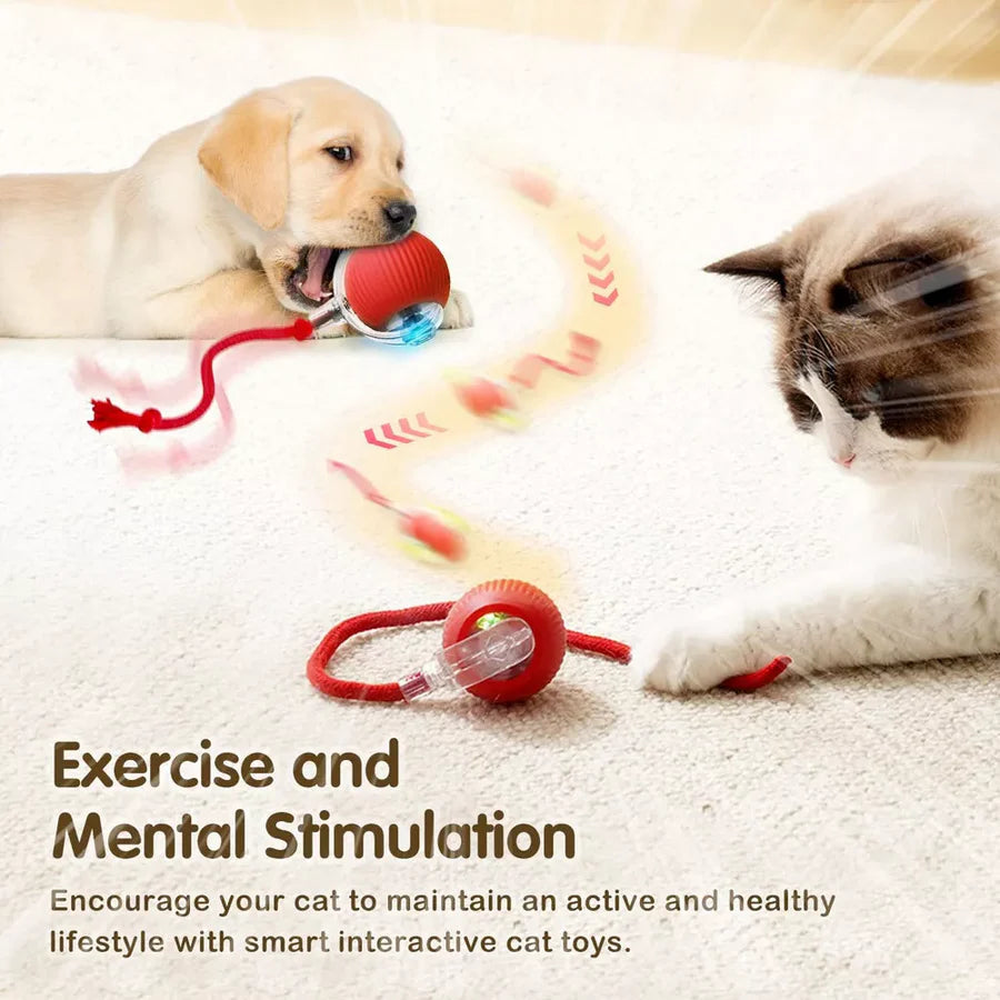 Original Cat Toy Automatic Interactive Rolling Ball